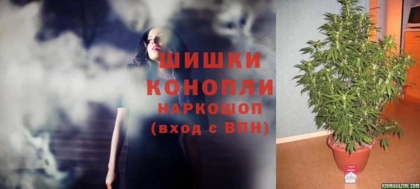 шишки Пересвет
