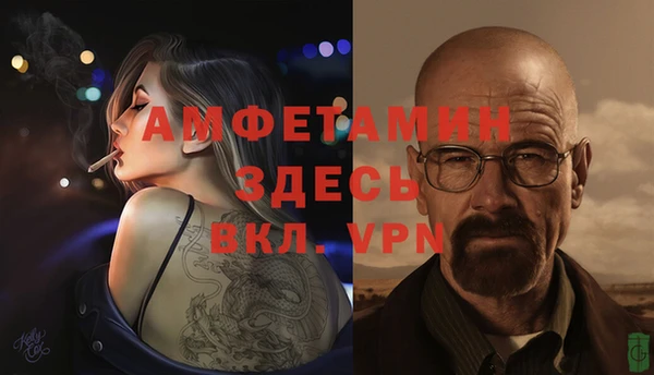 шишки Пересвет