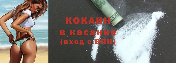 шишки Пересвет