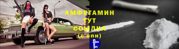 шишки Пересвет