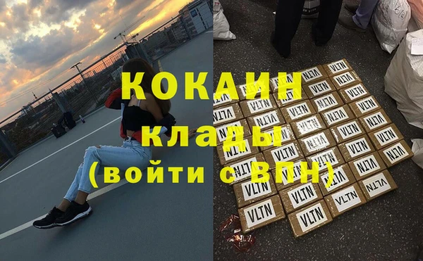 шишки Пересвет