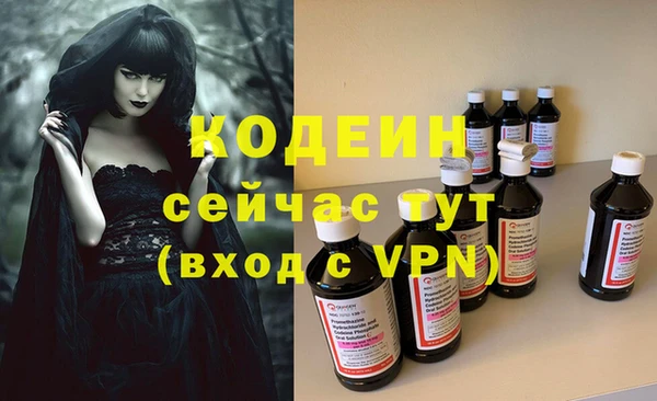 шишки Пересвет
