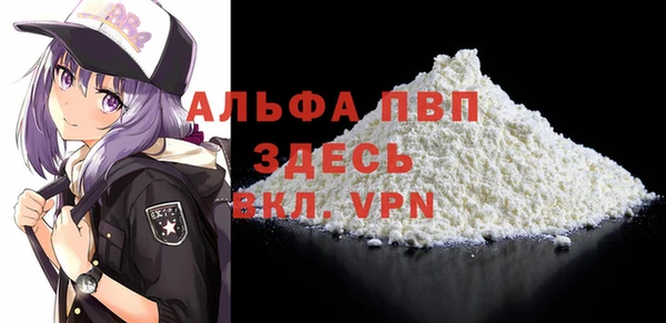 шишки Пересвет